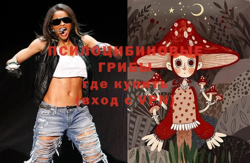 купить  цена  Магадан  hydra зеркало  Галлюциногенные грибы MAGIC MUSHROOMS 